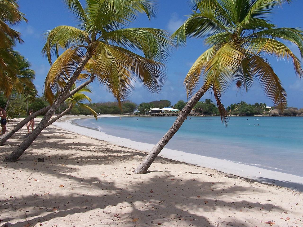 La Martinique a accueilli un nombre record de touriste en 2017